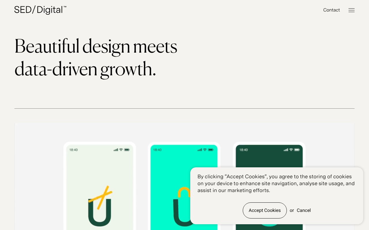 Screenshot of seddigital.co.uk