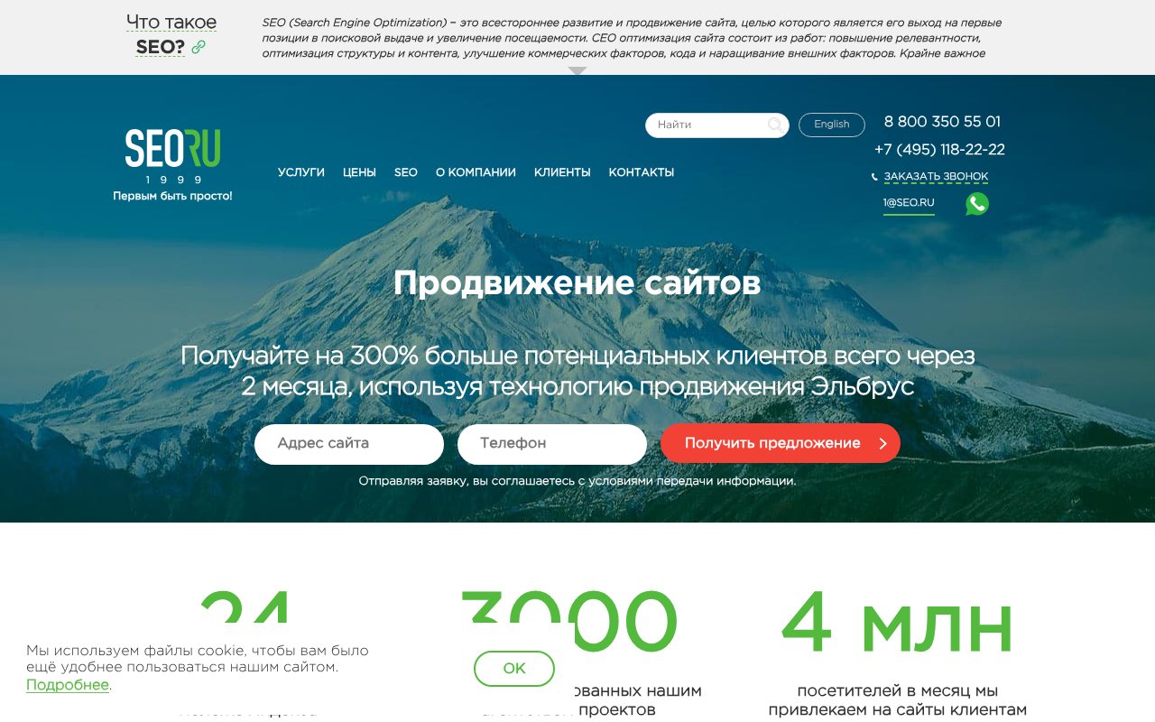 Screenshot of seo.ru