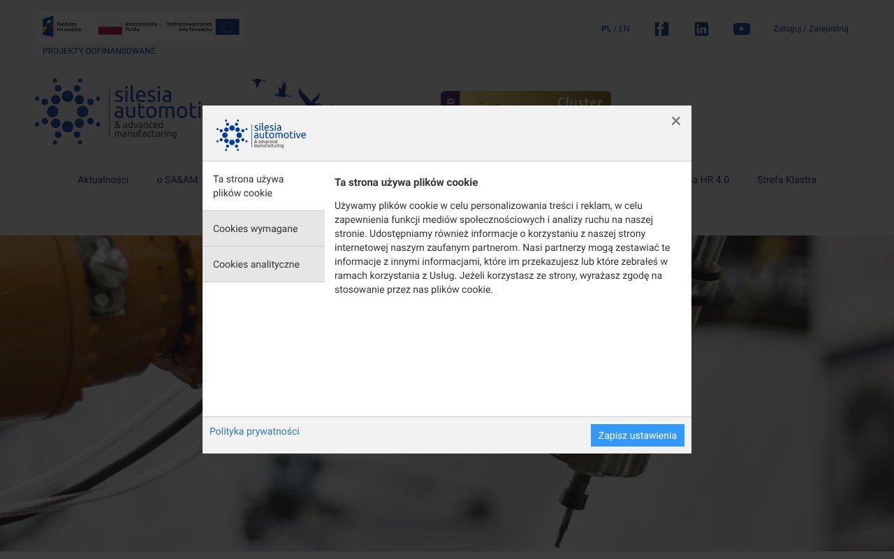 Screenshot of silesia-automotive.pl