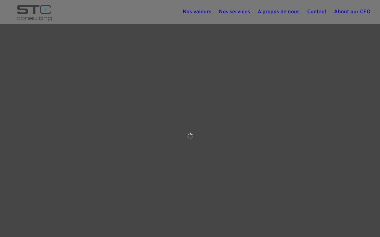 Screenshot of stc-consulting.ch