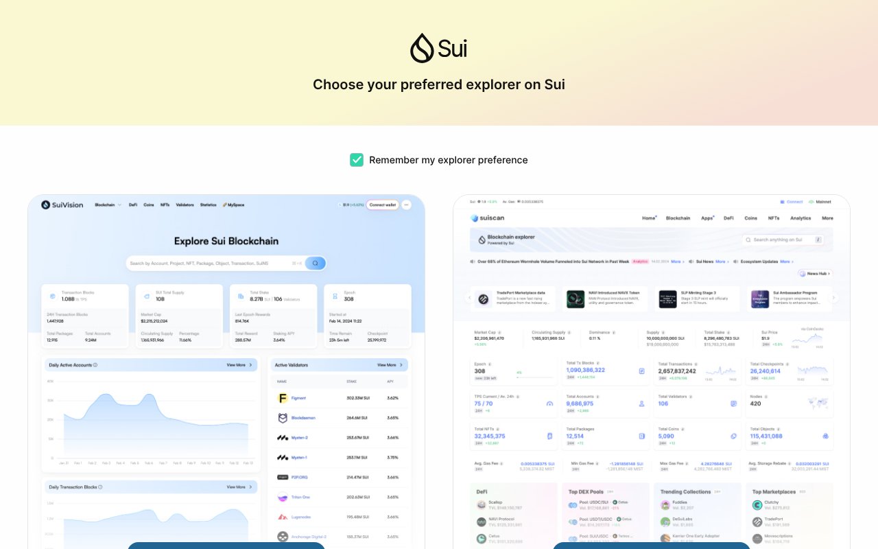 Screenshot of suiexplorer.com