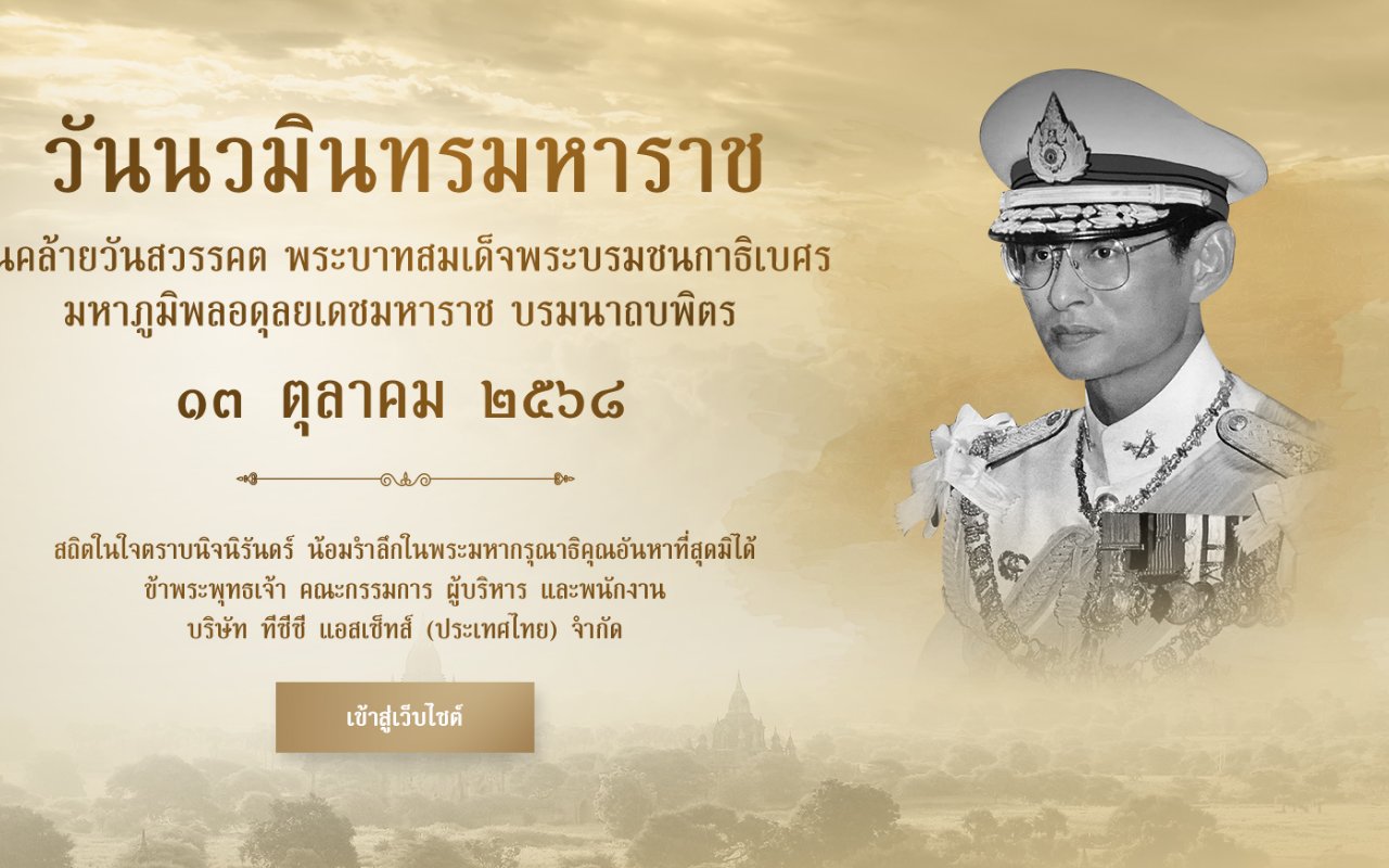 Screenshot of tccassets.com