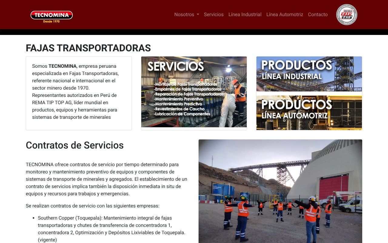 Screenshot of tecnomina.pe