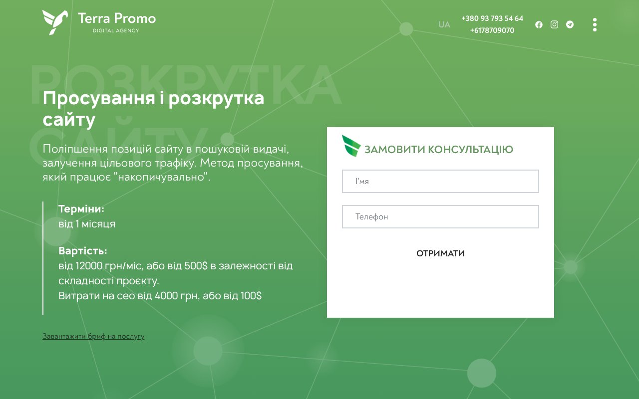 Screenshot of terrapromo.digital