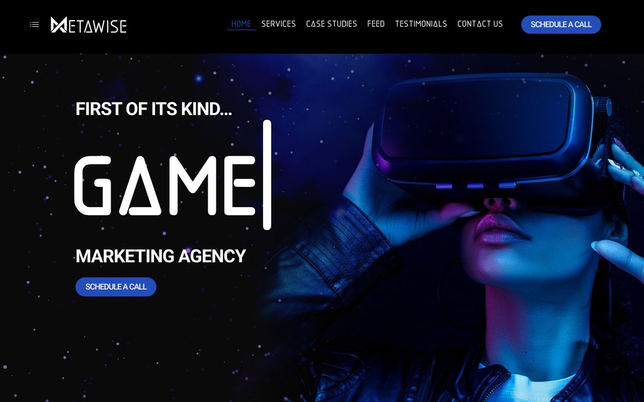 Screenshot of themetawise.com