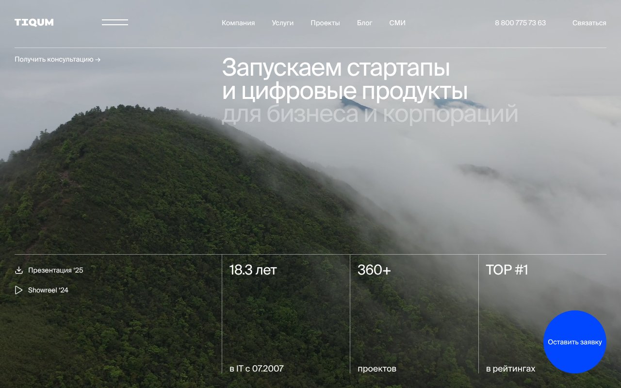 Screenshot of tiqum.ru