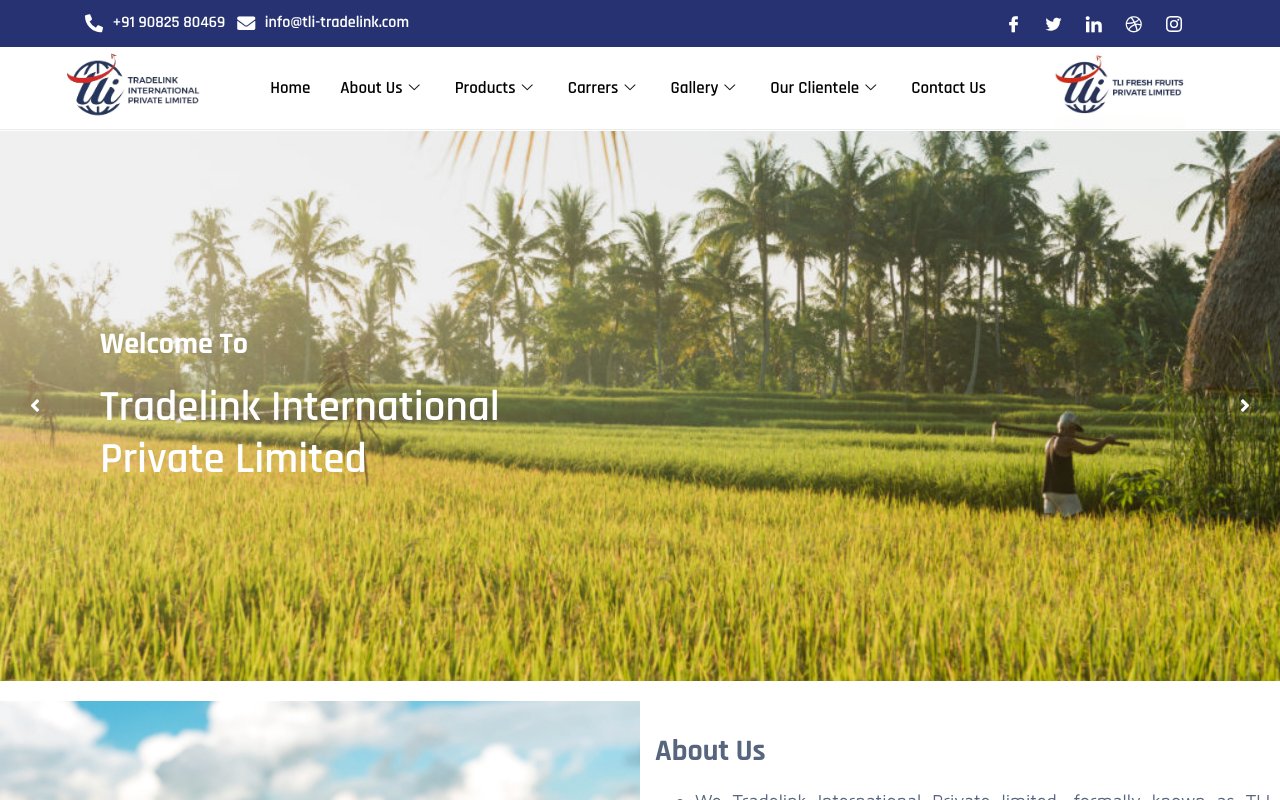 Screenshot of tli-tradelink.com