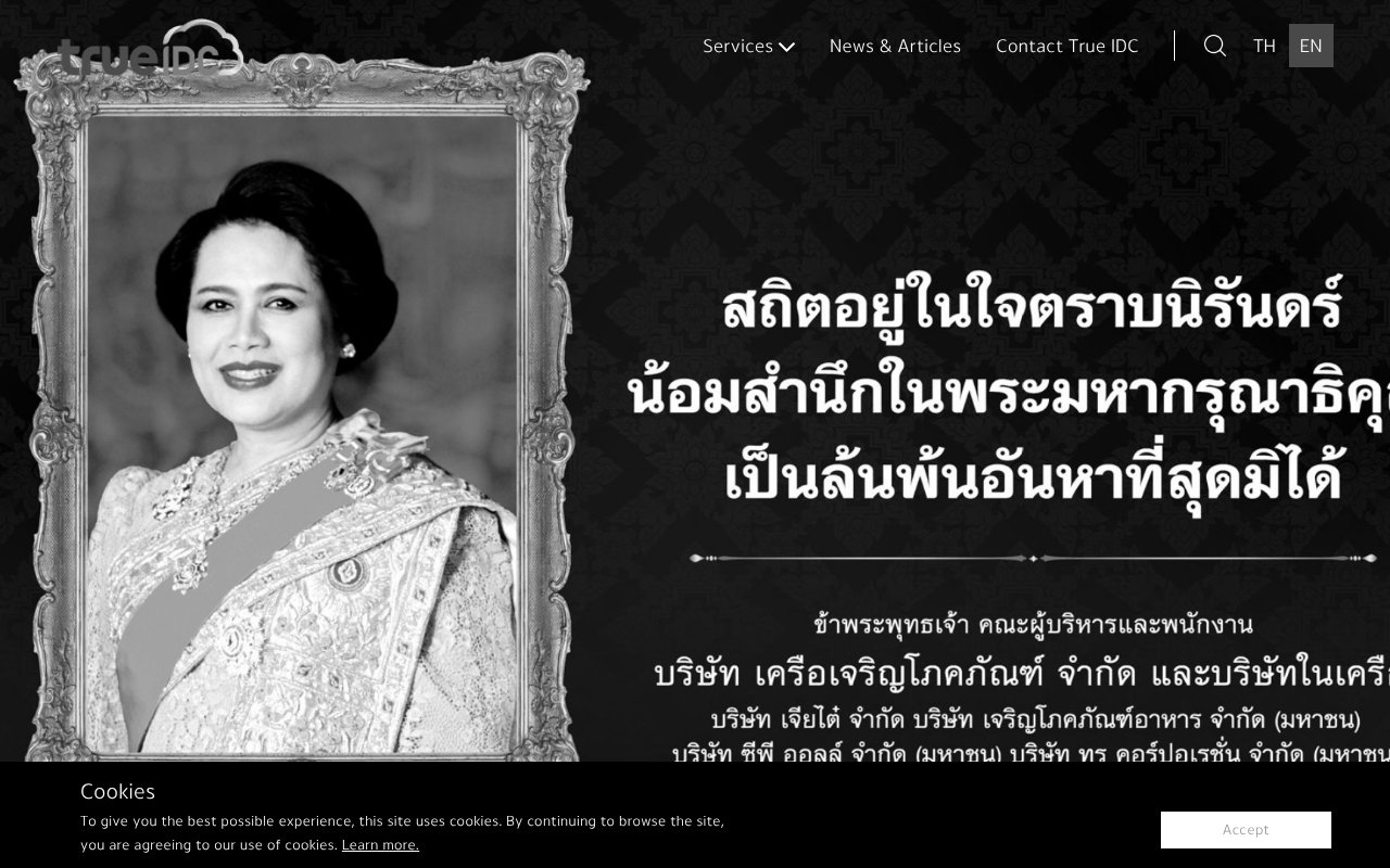 Screenshot of trueidc.com