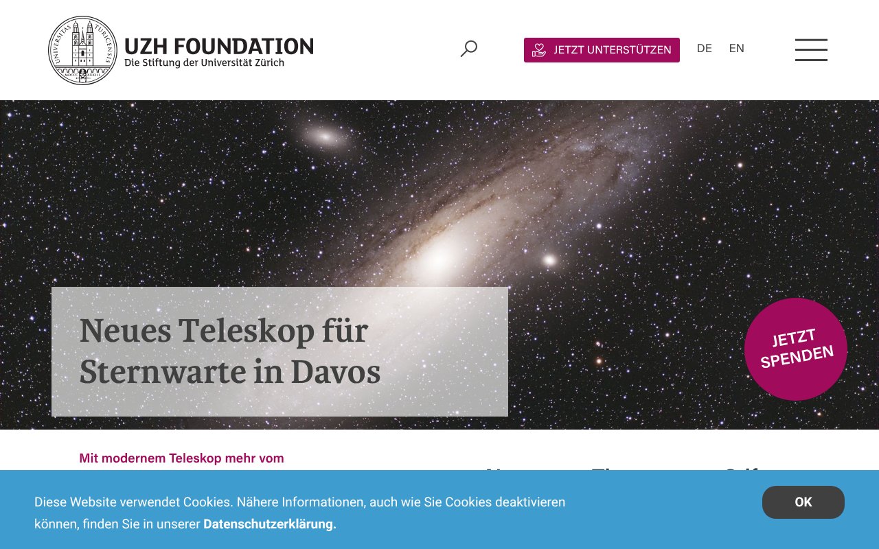 Screenshot of uzhfoundation.ch