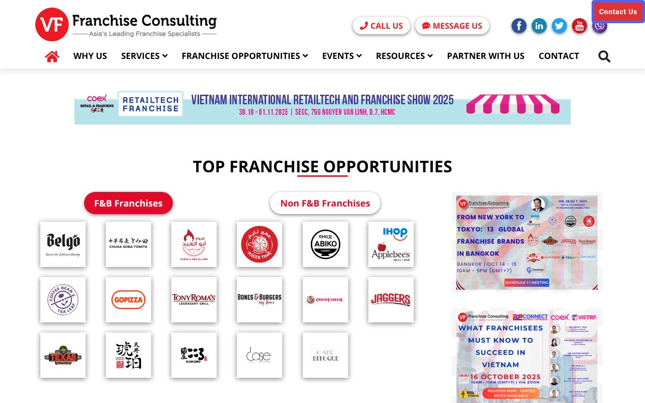 Screenshot of vffranchiseconsulting.com
