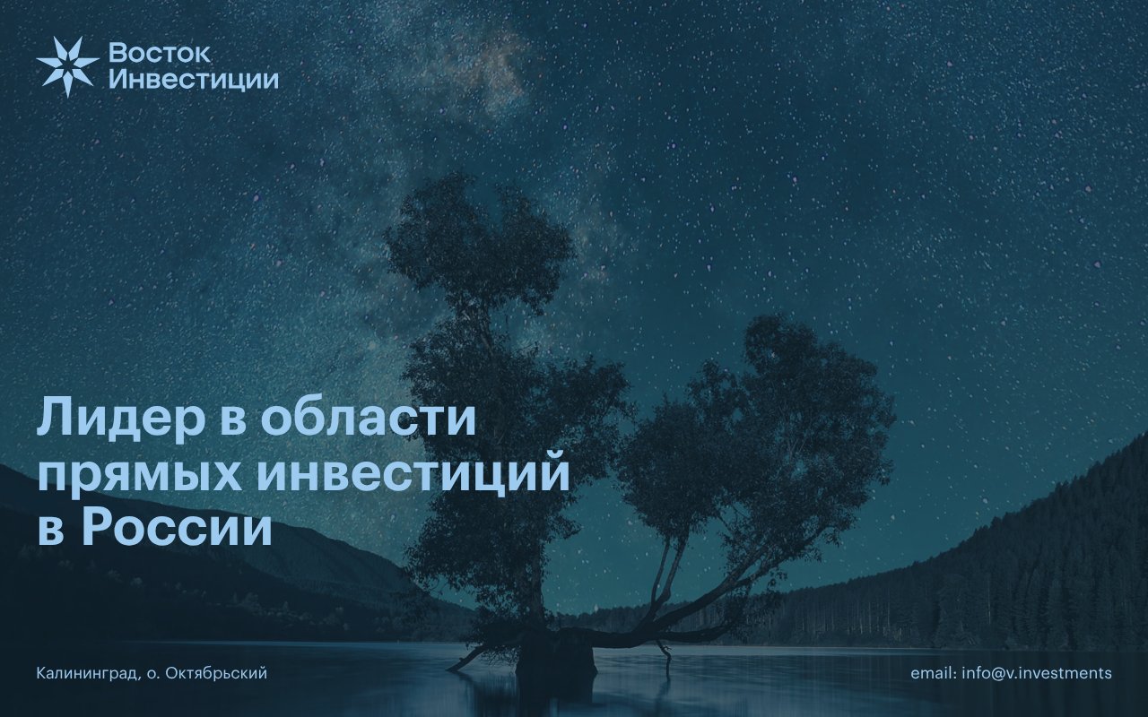 Screenshot of vostok.investments