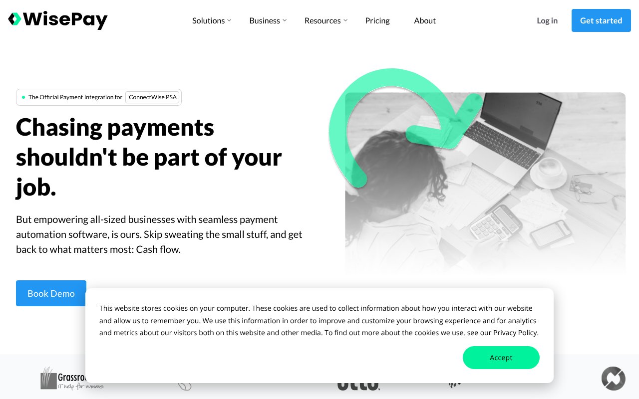 Screenshot of wise-pay.com