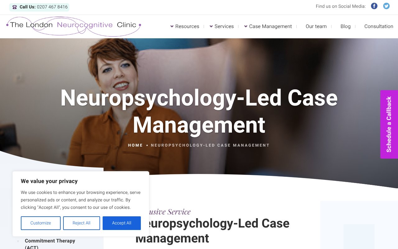 Screenshot of wpdrizzle.com