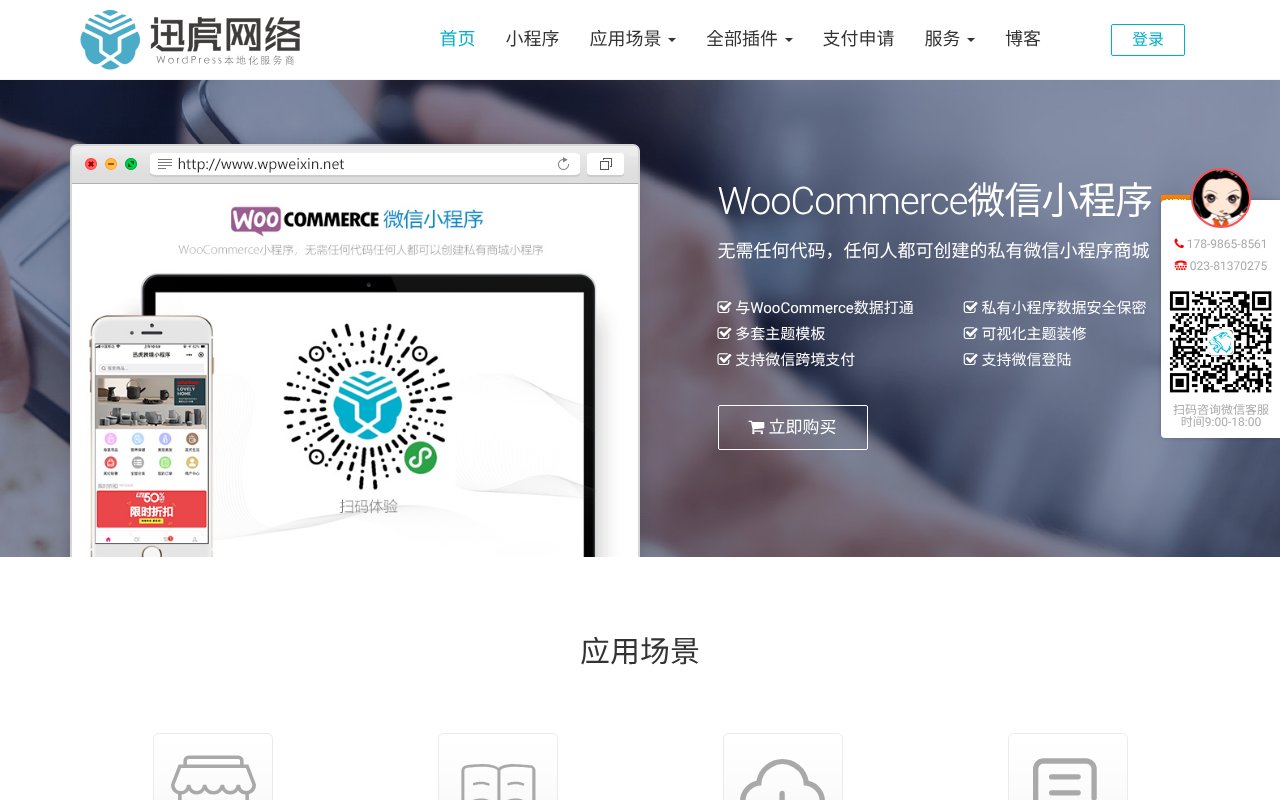 Screenshot of wpweixin.net