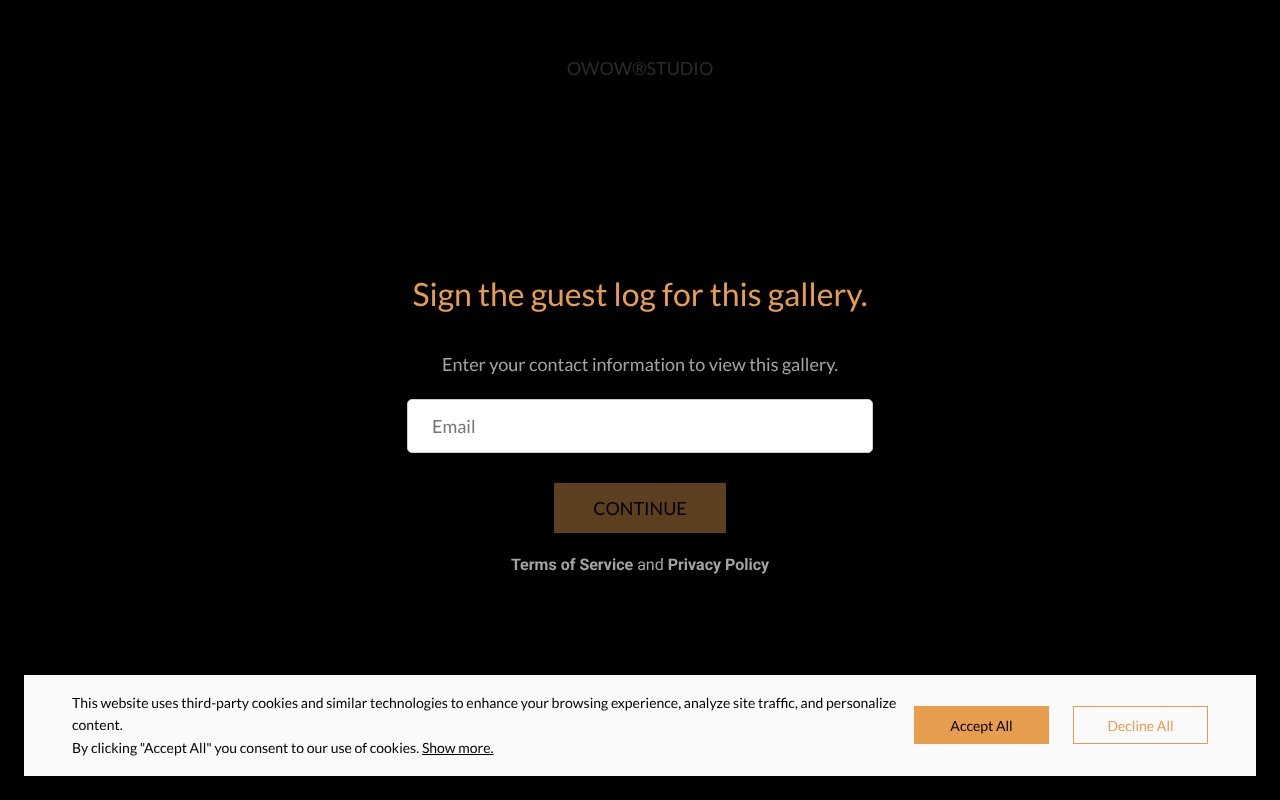 Screenshot of zenfoliosite.com