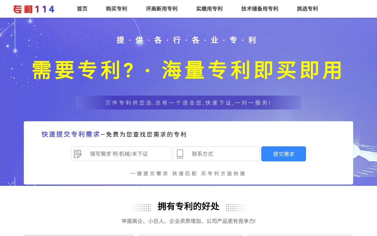 Screenshot of zhuanli114.com