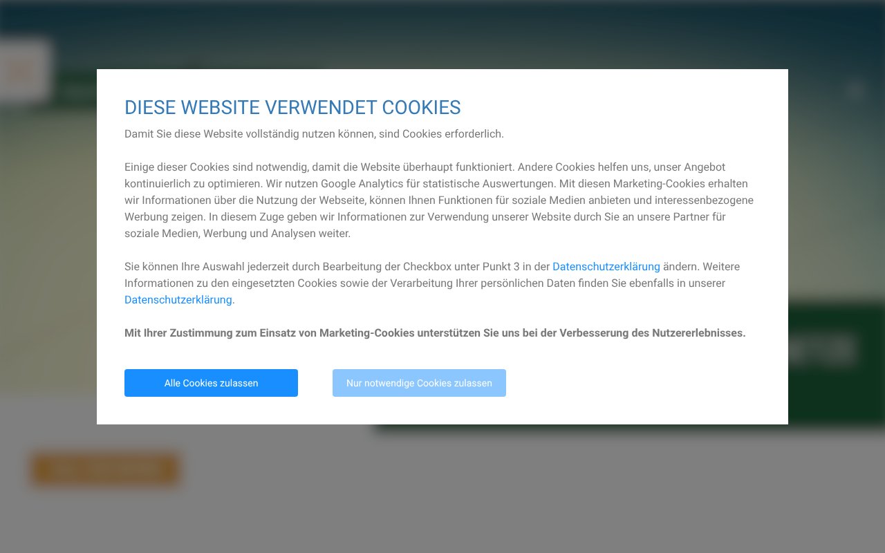 Screenshot of zukunftsnetz.net